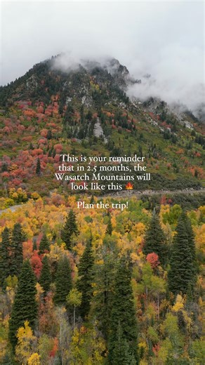 7.5K views · 196 reactions | Experience the breathtaking beauty of...