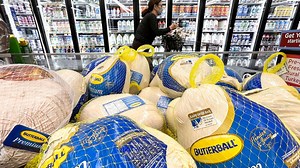 Farmers say price of Thanksgiving turkeys will skyrocket