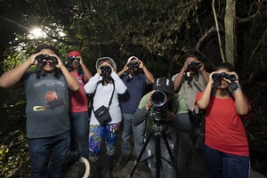 Panamanian indigenous people act to protect the forest from invading loggers