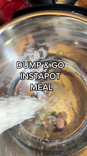 Quick and Easy Instant Pot Dump Meals