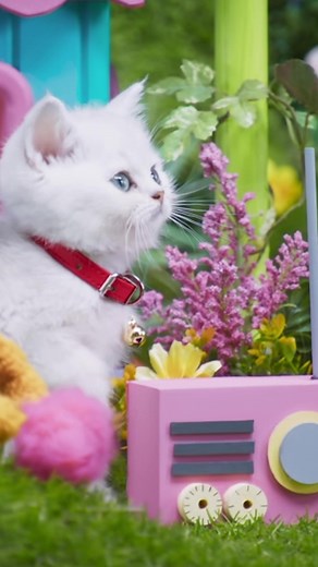 Mittens & Pants on TikTok