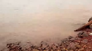 7.4K views · 60 reactions | Brazilian authorities assess contamination risk after a deadly bridge collapse sent trucks carrying sulfuric acid and pesticides into the Tocantins River https://reut.rs/3BSto7e | Reuters | Facebook