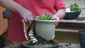 11K views · 170 reactions | A broken pot is a great opportunity for a fairy garden in this clip from 412 “What Goes Around”. Watch Life in Bloom on most public television Create TV stations Sunday at 11am EST. | J Schwanke's Life in Bloom | Facebook