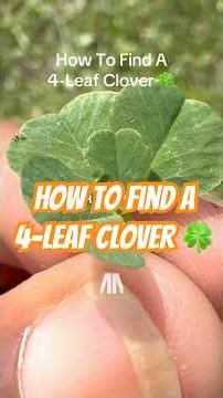 How To Find A 4-Leaf Clover 🍀
