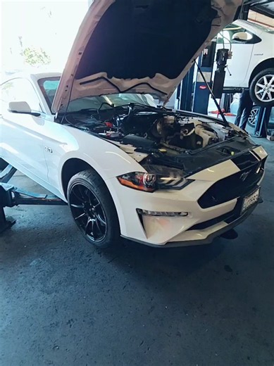 2019 Mustang 5.0 Issues and Troubleshooting