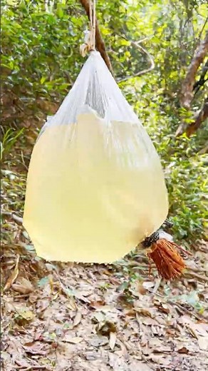 This Simple Water Filter Could Save Your Life #survival #skills