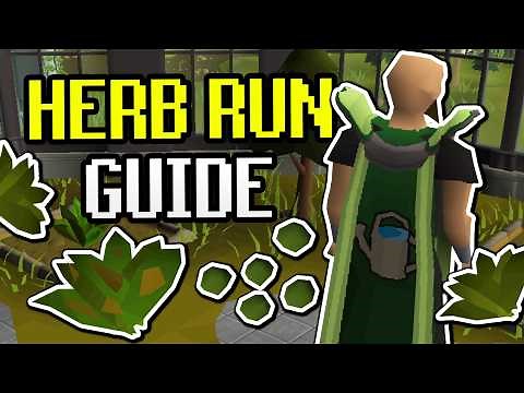 Ultimate Herb Farming Run Guide - Reclined Daily Method (OSRS 2025)