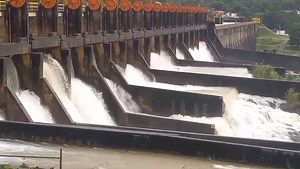 Lago Guayabal por Miguel | Roberto Cortes