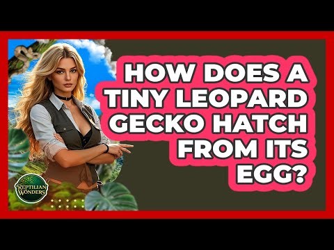 How Does A Tiny Leopard Gecko Hatch From Its Egg? - Reptilian Wonders