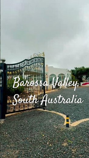 Best vineyards in the World 🍇🍇🍇🍷 #barossavalley #australiatravel #winery #travelshorts