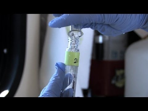 Bay 101: Dissolved Oxygen