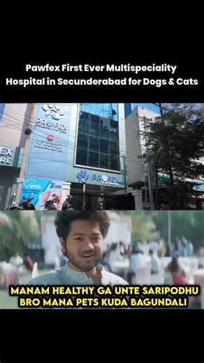 Addicted to Memes on Instagram: "Namaste Hyderabad - Pawfex first multispeciality hospital for Dogs & Cats in Secunderabad with all facilities to make your pet life easier 🐾 Follow @pawfexcare @pawfexcare @pawfexcare @pawfexcare At Pawfex, we offer a one-stop solution for all your pet’s healthcare and wellness needs, featuring: - **Laminar Flow Operation Theatre** (infection-proof) - **Soft Tissue & Orthopaedic Surgeries** - **Laparoscopic & Endoscopic Procedures** - **24/7 Emergency & Critical