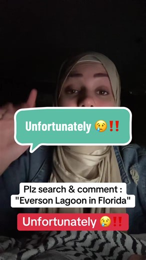 Experience the Evermore Bay Lagoon Pool in Orlando