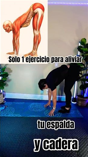 Just one exercise to relieve your back and hip pain #lowerback #lumbar #sciaticnerve