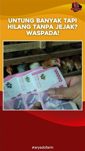 Untung Banyak Tapi Hilang Tanpa Jejak? Waspada!
