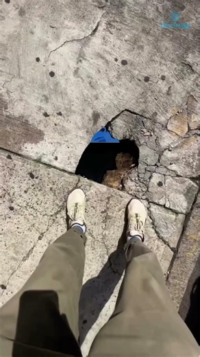 Best AI & LLM Security Course for Beginners (Hands-on + Self-Paced)