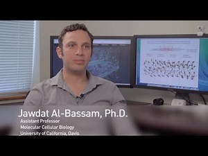 GeneArt It with DNA Strings Fragments: a testimonial #2