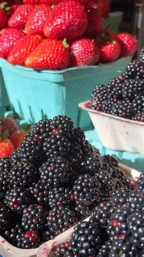 3M views · 10K reactions | Latest Episode on AgriTalk is out now! All About Berry Growing, learn about Strawberry blueberry and raspberry farming in India. Can berry farming be the next big thing for Indian Agriculture? Comment Link for the Full Link to the episode! #berry #reels #agriculture #trendingreels ing | Agriplast Tech India Pvt. Ltd | Facebook