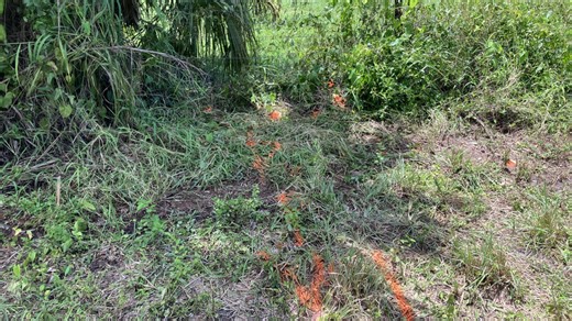 Unseen tragedy: Body discovered day after crash in Okeechobee County