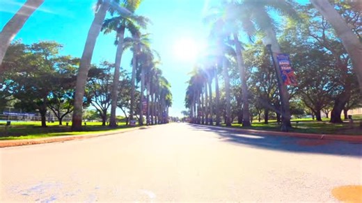 FMU Homecoming 2025 went a little something like this! 🦁🧡💙 | Fmu Lions