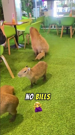 Why Capybaras Are the Chillest Animals on Earth 🐾
