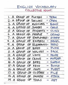 1.2M views · 5.3K reactions | English Vocabulary | Collective Nouns | English With Rani ma'am #collectivenouns | English With RANI MAM | Facebook