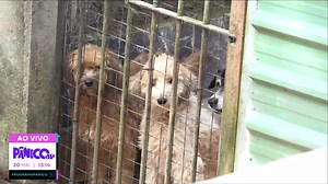 4.4K views · 74 reactions | Eu não sei se esta sexta (30) foi marcada...