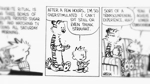 "Stripped" - Bill Watterson