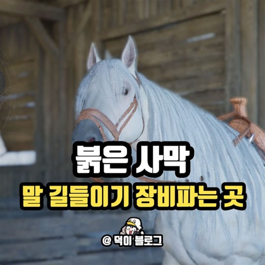 붉은사막 말 길들이기 안장 장비 탈진 없이 잡는 법