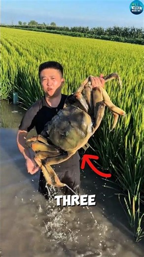 China’s Weirdest Food & Science Experiments 🤯 | Ice, Plastic & Sugarcane #shorts