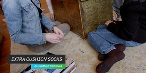 Watch Find an alpaca sock for everyone - on Amazon Live