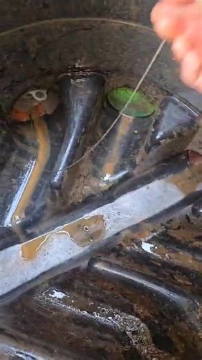 Rat-proof your kingdom with our seamless Ratgate installation!🐀🚫✨💩🚽#rat #pestcontrol #rodents #drainage #RodentControl #pipes #short | Titanium Drainage