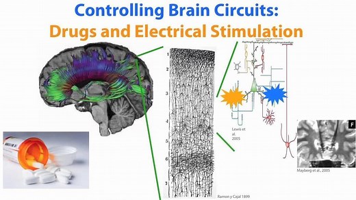 Ed Boyden on Optogenetics —- selective brain stimulation with light – Lifeboat News: The Blog