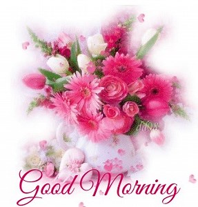 25K views · 24 reactions | Good Morning Wishes !!!! | Good Morning Quotes, Images, Wishes | Facebook