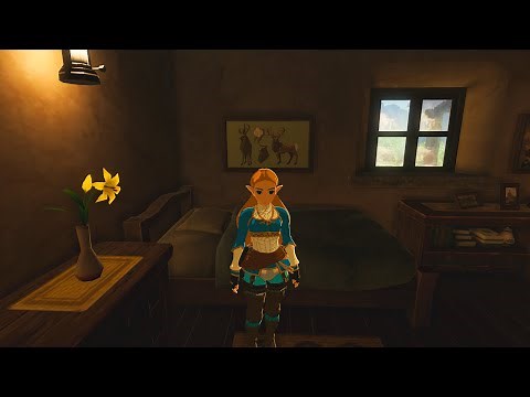 House Enhancements - The Legend of Zelda: Breath of the Wild
