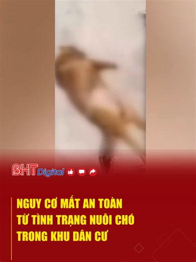 Nguy cơ mất an toàn từ tình trạng nuôi chó trong khu dân cư #tiktoknews #trending #tintuc24h #tinnong #tinmoi #socialnews #dongvattharong #matantoan