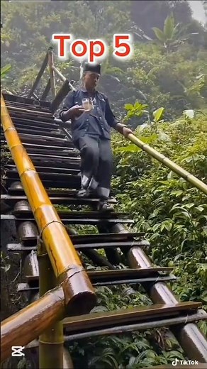 Epic Ladder Fail Gone Wrong 😂🤦‍♂️ #funnyfails #shorts #viralvideo