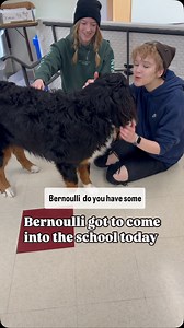 25K views · 1.3K reactions | Best day ever for the students and Bernoulli! | Bunsen Berner | Facebook