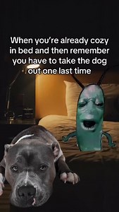 2.3K views · 140 reactions | That one last potty break  #americanbully #dog #doglove #funnydog#dogparents #dogcontent #doglovers #funnydogs #dogowner #dogs #doghumor Dog life, dog humor, dogs, funny dogs, cute dogs | Hippo American bully | Facebook