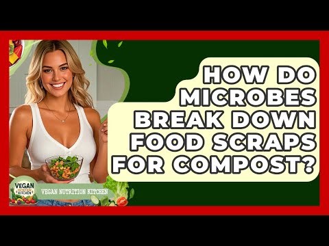 How Do Microbes Break Down Food Scraps For Compost? - Vegan Nutrition Kitchen