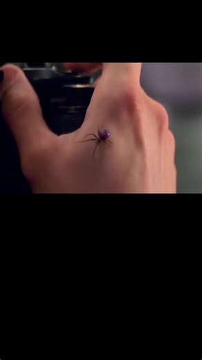 Is the Spider That Bit Peter Parker Still Alive?
