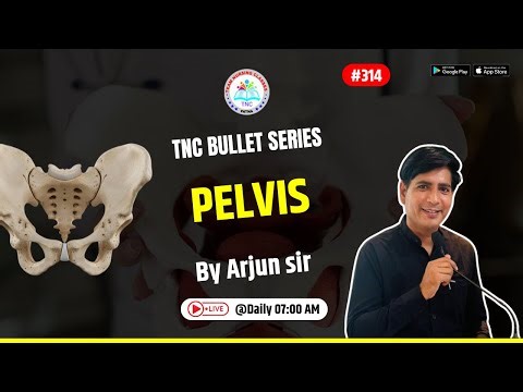 Pelvis || TNC Bullet Series # 314 || Most Important Topic || Daily 7.00 AM || NURSING EXAM