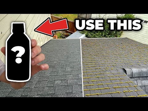 DIY ROOF CLEANING- Pros Don’t Want You to Know This!!!