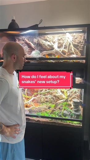 Incredible Snake Setup for Kids and Adults