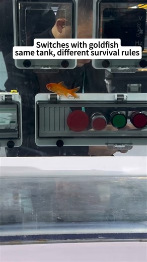 weielectric on Instagram: "These IP67 switch box covers are engineered to protect breakers,switches, and various electrical components across different applications. They are commonly paired with junction boxes, distribution boxes,and electrical enclosures, acting as an additional layer of protection against water,dust,and environmental exposure. Available and follow for more electrical products and real world application demos.#electricalengineering #electricalcomponents #switchbox #waterproofc