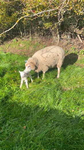 John Hughes on Reels