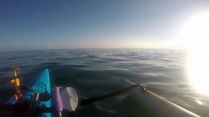 INCREDIBLE! An unexpected rescue happened four miles offshore! Watch and see what Steve from Key West Kayak Fishing spotted as he was headed in from a long day on the water. That was one grateful hitchhiker! | Greater Key West Chamber of Commerce