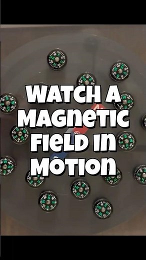 Magnetic Field in Action (Compass Demo)
