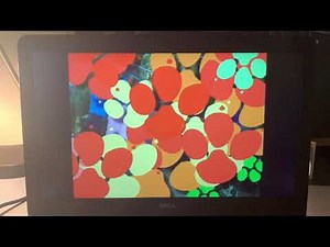 the WIGGLES The Pink Towel Chase Credits