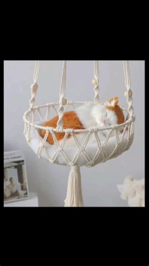 Está rede de Macramé para gatos é absolutamente linda!!! Instalação fácil, perfeita para o seu pet! Confira agora e dê ao seu gato um novo lugar confortável!!! #diyhomedecor #livingroomsofa #creatortiktokshop #cutecat #dogcare